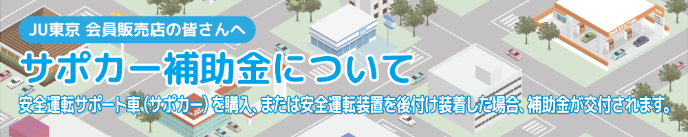 サポカー補助金制度について